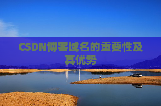 CSDN博客域名的重要性及其优势